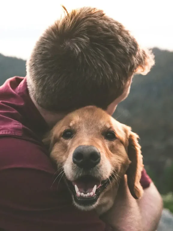 5 dicas para cuidar de seu cachorro