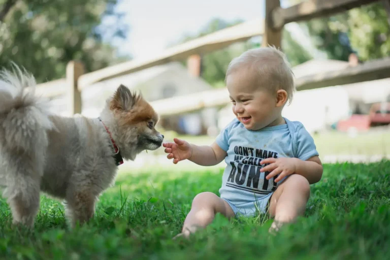 pode deixar o cachorro perto do bebê