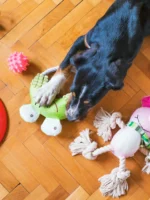 benefícios de oferecer brinquedos interativos para cachorros