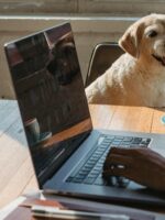 pet grudado em seu tutor evidenciando a ansiedade de separação